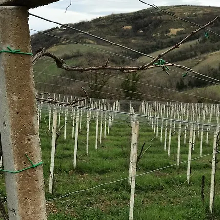 Montupoli カントリーハウス *