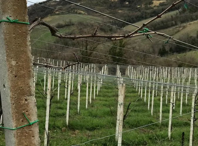Montupoli Casa di campagna *
